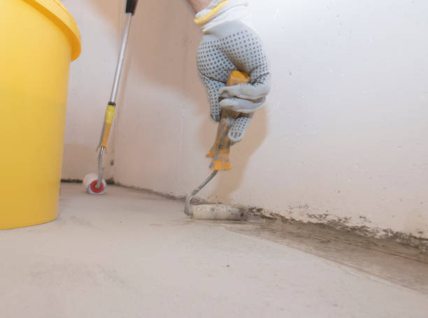 Best Fumigation Services  in Western Lake, TX